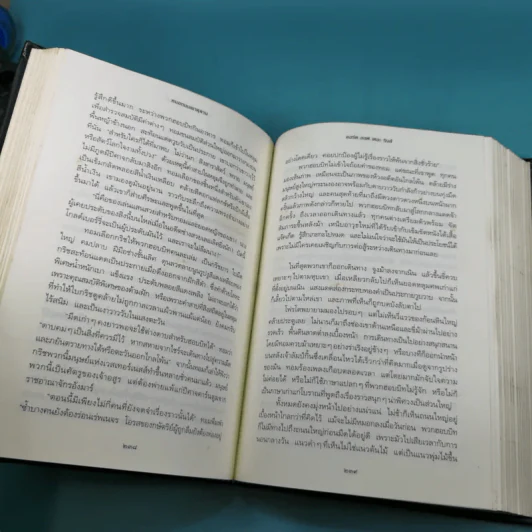 The Lord of the Rings ลอร์ด ออฟ เดอะ ริงส์ 1 ตอนมหันตภัยแห่งแหวน รูปที่ 17
