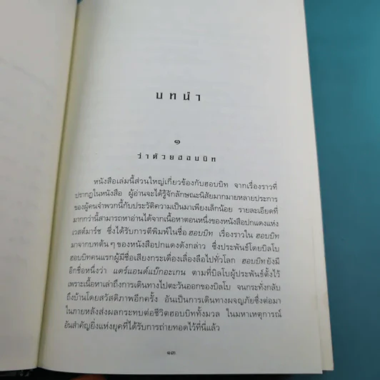 The Lord of the Rings ลอร์ด ออฟ เดอะ ริงส์ 1 ตอนมหันตภัยแห่งแหวน รูปที่ 16