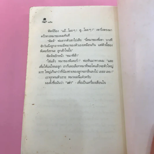 ไม่มีใครร้ายเท่าน้องเล็ก - จูดี บลูม รูปที่ 12