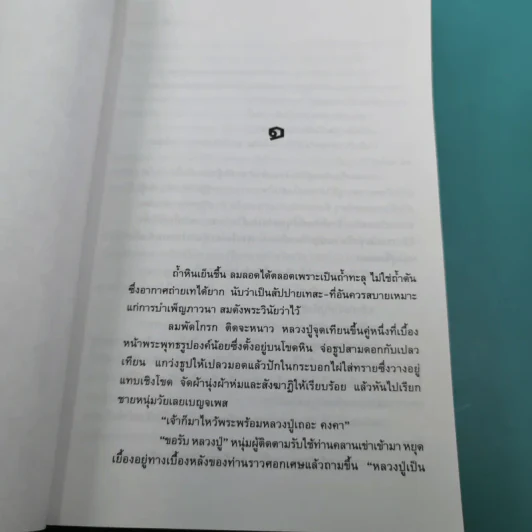 นางถ้ำ - มาลา คำจันทร์ รูปที่ 15