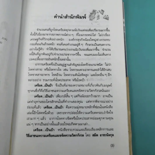 เครียดเป็นบ้า - สมิต อาชวนิจกุล รูปที่ 8
