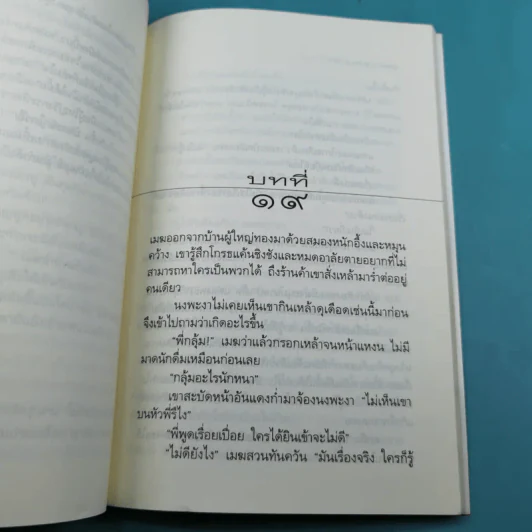 คนทรงเจ้า - วิมล ไทรนิ่มนวล รูปที่ 12