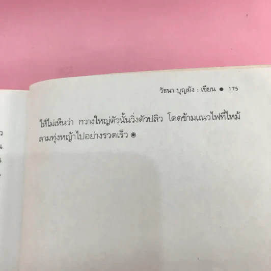เรื่องเล่าจากราวไพร - วัธนา บุญยัง รูปที่ 12