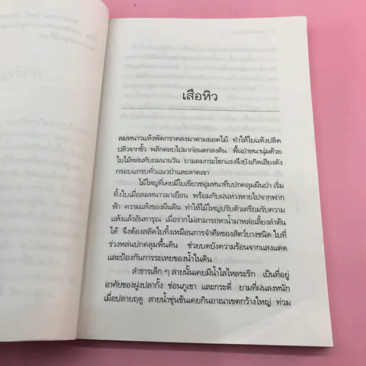 เรื่องเล่าจากราวไพร - วัธนา บุญยัง รูปที่ 11