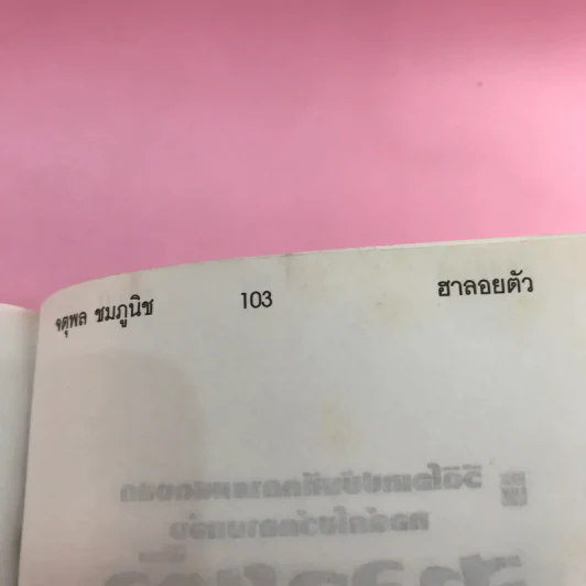 ฮาลอยตัว - จตุพล ชมภูนิช รูปที่ 12
