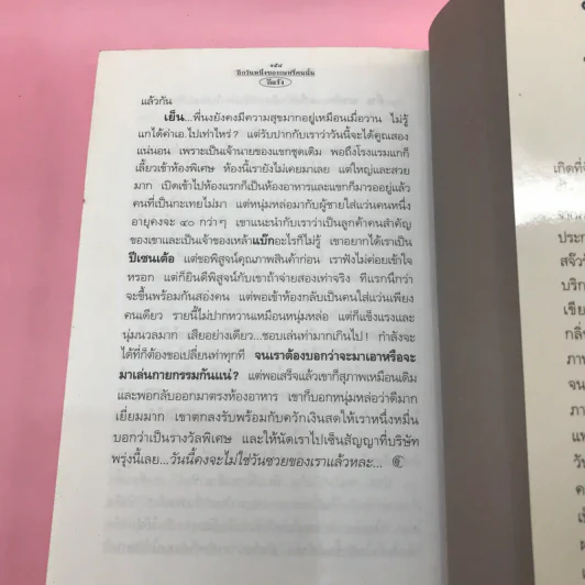 อีกวันหนึ่งของกะหรี่คนนั้น - อีแร้ง รูปที่ 15