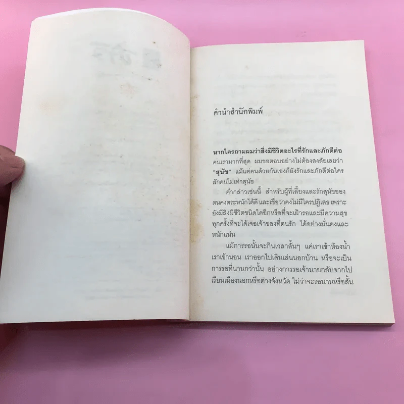 เรื่องจริงของฮาจิ ตำนานสุนัขยอดกตัญญู - อายาโนะ มาซารุ รูปที่ 8