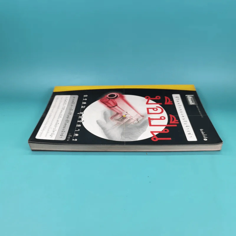 ชีวิตจริงของคนรับจ้างฆ่า มือปืน - อรสม สุทธิสาคร รูปที่ 4