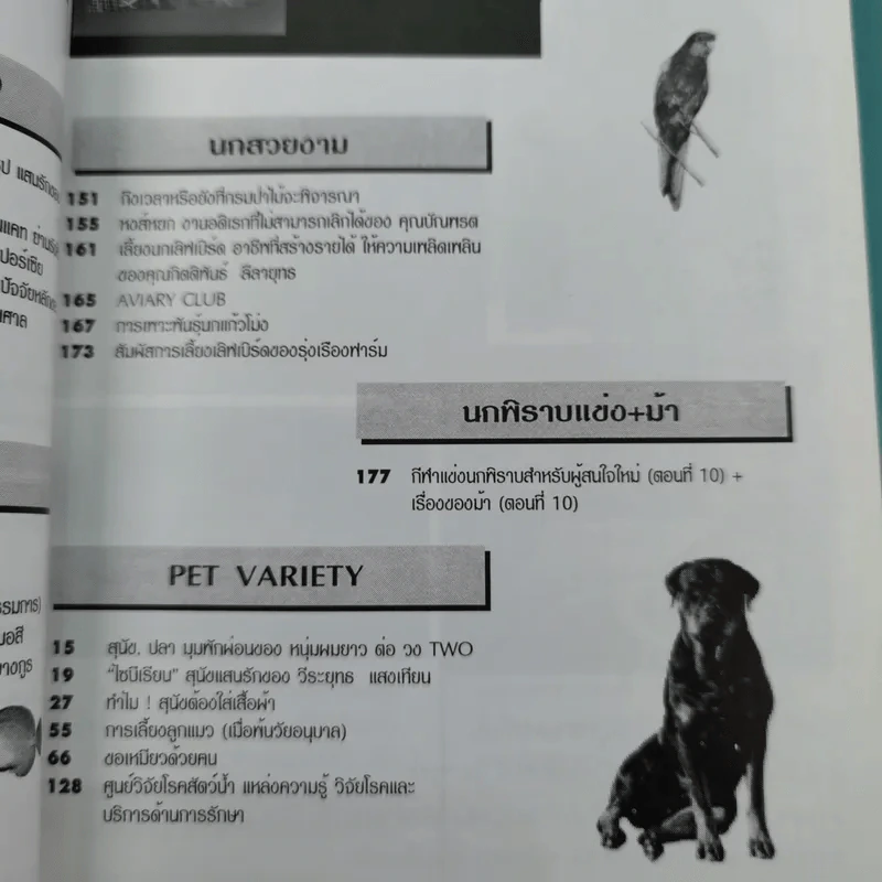 Pet-Mag นิตยสารสัตว์เลี้ยง ปีที่ 1 ฉบับที่ 12 มิ.ย.2543 รูปที่ 9