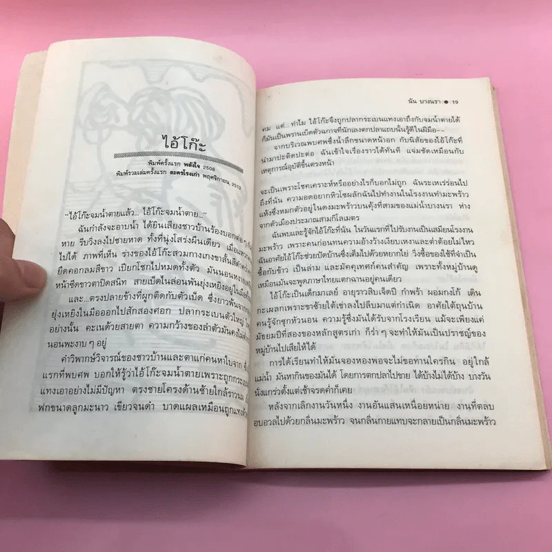 ที่นี่ไม่มีอะไร - นัน บางนรา รูปที่ 15