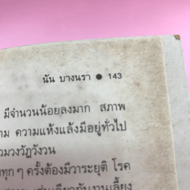 ที่นี่ไม่มีอะไร - นัน บางนรา รูปที่ 17