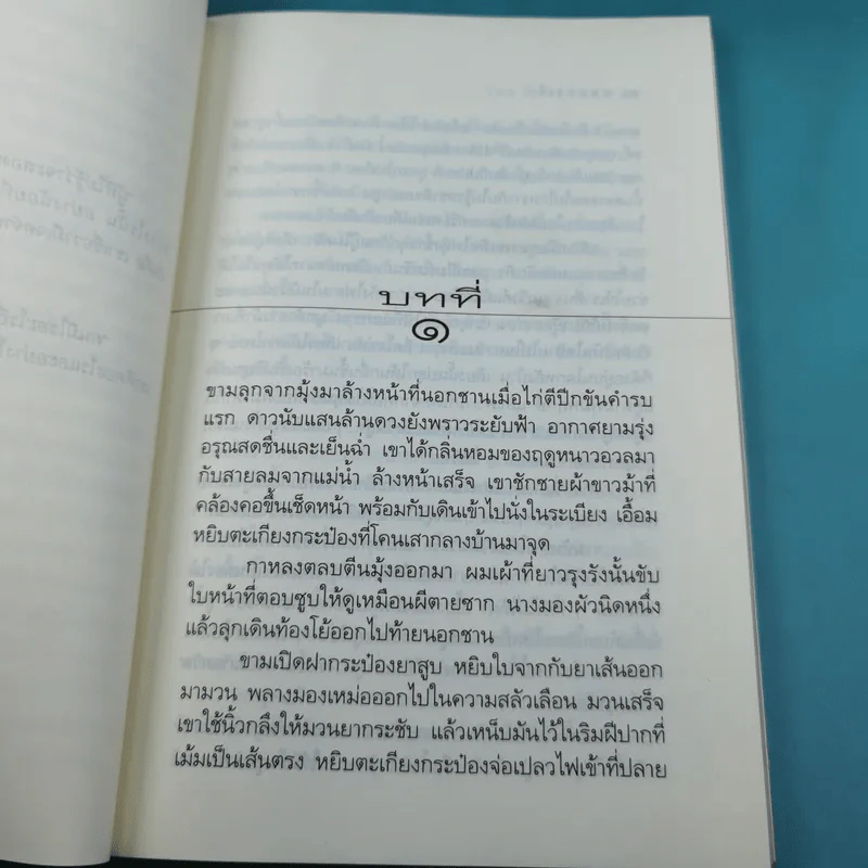 คนทรงเจ้า - วิมล ไทรนิ่มนวล รูปที่ 10