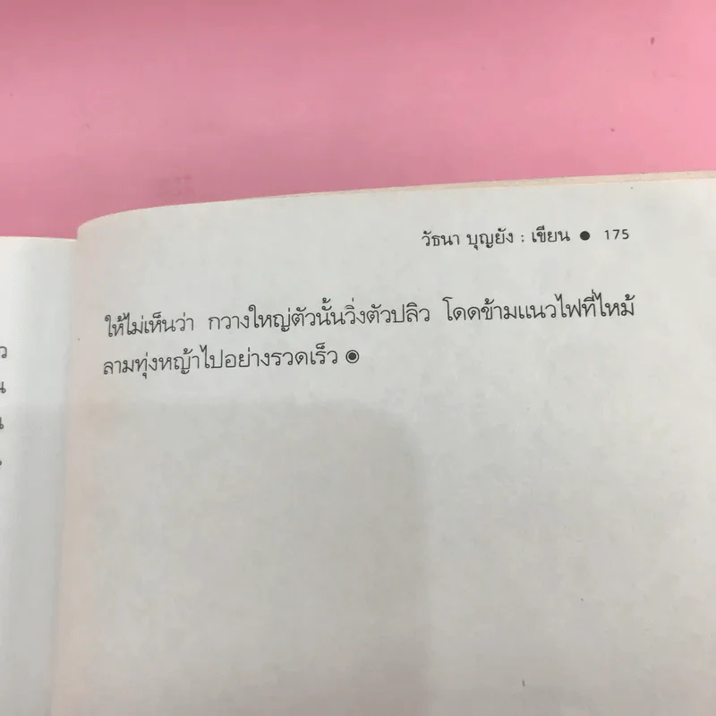 เรื่องเล่าจากราวไพร - วัธนา บุญยัง รูปที่ 12