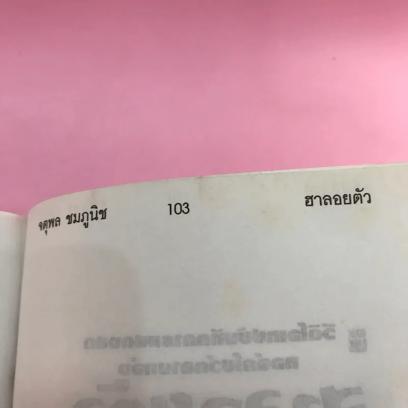 ฮาลอยตัว - จตุพล ชมภูนิช รูปที่ 12