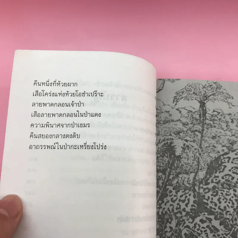 เสือสมิงจำแลง - ชาลี เอี่ยมกระสินธุ์ รูปที่ 11