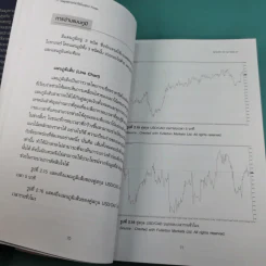 17 กลยุทธ์ การทำกำไรในตลาด Forex - Mario Singh รูปที่ 23
