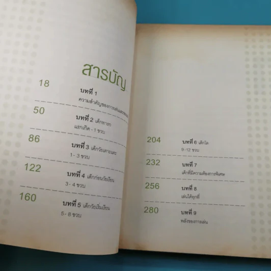 พัฒนาอารมณ์และสมองด้วยของเล่น - Dr.Stevanne Auerbach รูปที่ 10