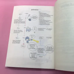 ฝึกให้ไม่เผลอ - พระริวโนะสุเกะ โคะอิเกะ รูปที่ 18