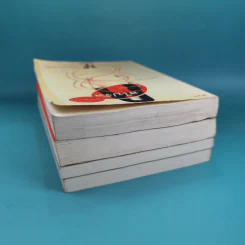 หนังสือชุดเดอะริง คำสาปมรณะ 4 เล่ม รูปที่ 6