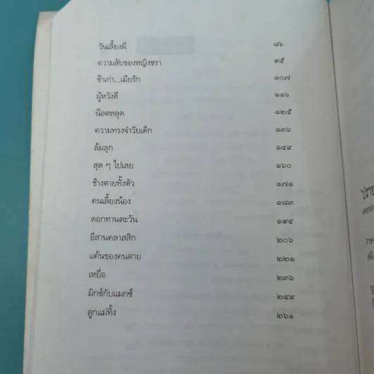 ผีหลอก (อำพรางอำยวน) - สรจักร รูปที่ 9