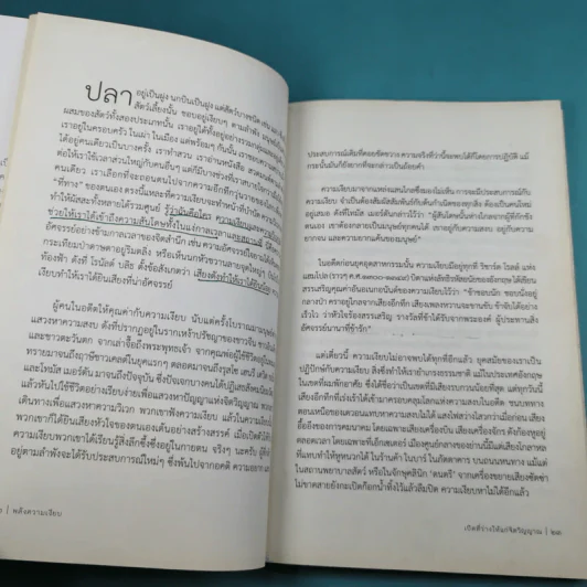 พลังความเงียบ เปิดพื้นที่เพื่อความสร้างสรรค์ รูปที่ 15