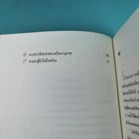 ศาสดาขบถ - สตีเฟน เดวิส รูปที่ 10