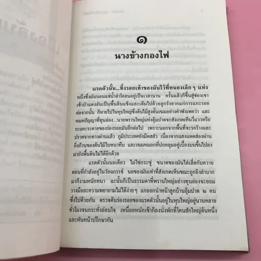 ล่องไพร เมืองลับแล มดแดง พรายตะเคียน - น้อย อินทนนท์ รูปที่ 11