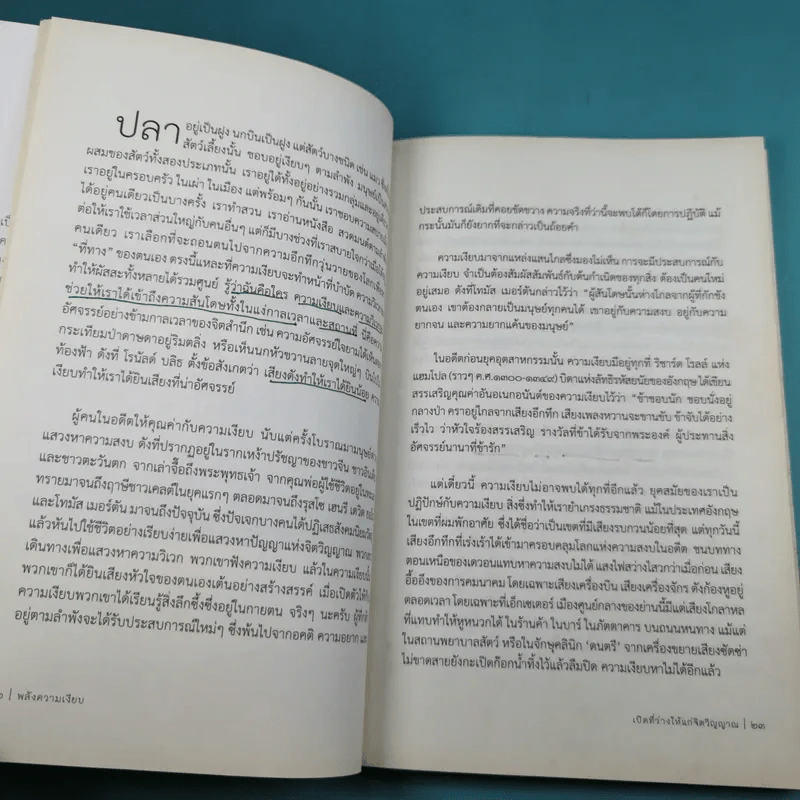 พลังความเงียบ เปิดพื้นที่เพื่อความสร้างสรรค์ รูปที่ 15