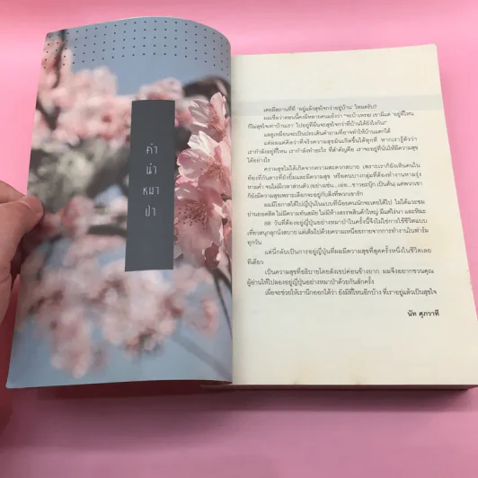 อยู่ญี่ปุ่นอย่างหมาป่า - นัท ศุภวาที รูปที่ 8