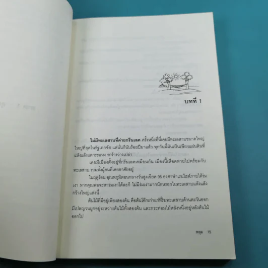 หลุม (มูลนิธิดำรงชัยธรรม) - หลุยส์ ซาซาร์ รูปที่ 13