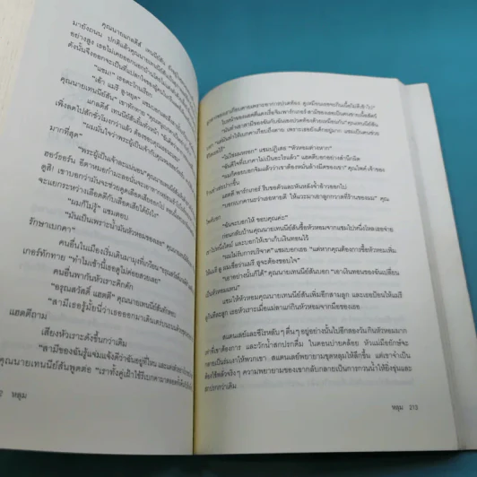 หลุม (มูลนิธิดำรงชัยธรรม) - หลุยส์ ซาซาร์ รูปที่ 15