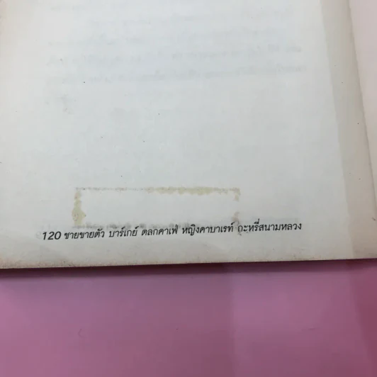 ชายขายตัว - วรชัย รัตนดวงตา รูปที่ 17