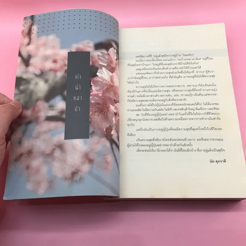 อยู่ญี่ปุ่นอย่างหมาป่า - นัท ศุภวาที รูปที่ 8