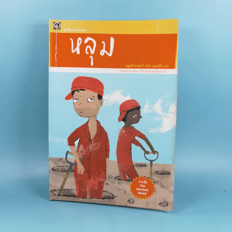หลุม (มูลนิธิดำรงชัยธรรม) - หลุยส์ ซาซาร์ รูปที่ 1
