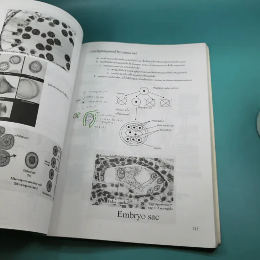 Basic Biology (OPD) - นพ.พิชญ์ สันติจิตรุ่งเรือง รูปที่ 15