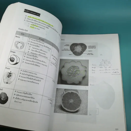 Basic Biology (OPD) - นพ.พิชญ์ สันติจิตรุ่งเรือง รูปที่ 13