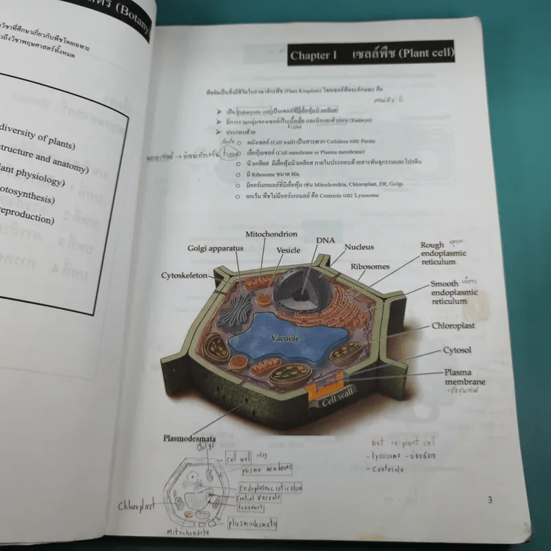 Basic Biology (OPD) - นพ.พิชญ์ สันติจิตรุ่งเรือง รูปที่ 10