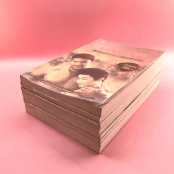 วรรณกรรม ไม้เมืองเดิม 7 เล่ม ได้แก่ บางระจัน, หมื่นซ่อง, บึงขุนสร้าง, นางถ้ำ, เสือทุ่ง, สาวชะโงก, สินในน้ำ รูปที่ 4