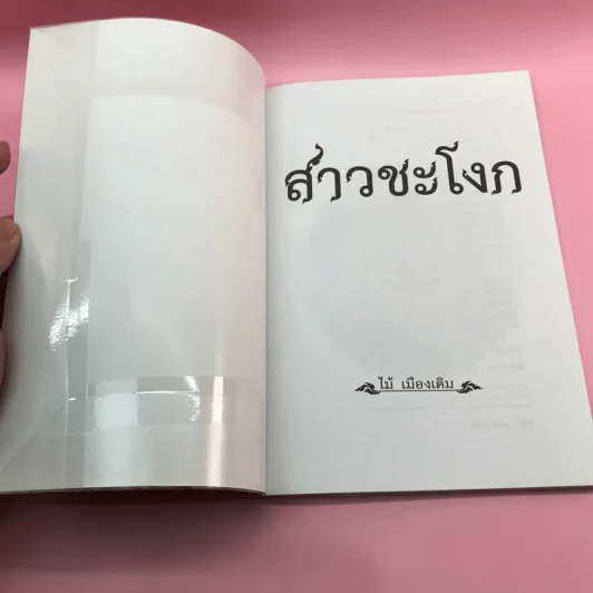 วรรณกรรม ไม้เมืองเดิม 7 เล่ม ได้แก่ บางระจัน, หมื่นซ่อง, บึงขุนสร้าง, นางถ้ำ, เสือทุ่ง, สาวชะโงก, สินในน้ำ รูปที่ 20