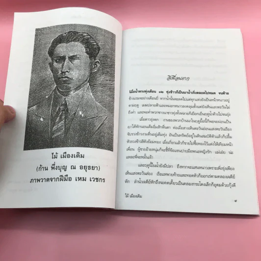 วรรณกรรม ไม้เมืองเดิม 7 เล่ม ได้แก่ บางระจัน, หมื่นซ่อง, บึงขุนสร้าง, นางถ้ำ, เสือทุ่ง, สาวชะโงก, สินในน้ำ รูปที่ 45