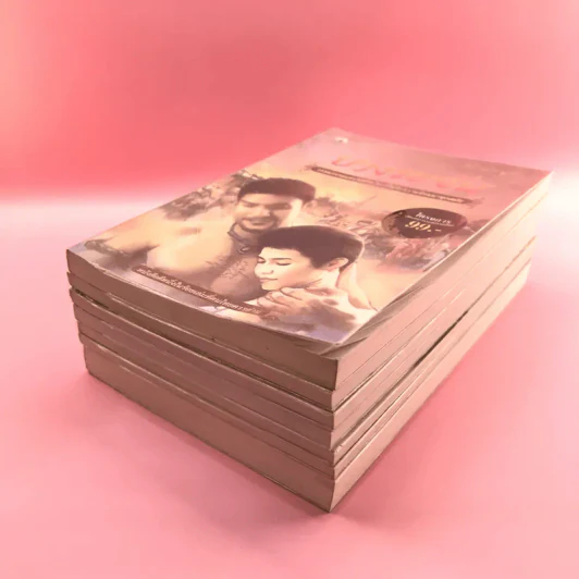 วรรณกรรม ไม้เมืองเดิม 7 เล่ม ได้แก่ บางระจัน, หมื่นซ่อง, บึงขุนสร้าง, นางถ้ำ, เสือทุ่ง, สาวชะโงก, สินในน้ำ รูปที่ 4