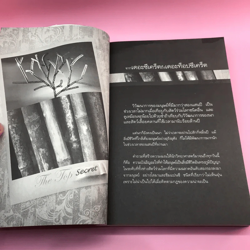 The Top Secret เดอะท็อปซีเคร็ต เล่ม 1-2 - ทันตแพทย์สม สุจีรา รูปที่ 14