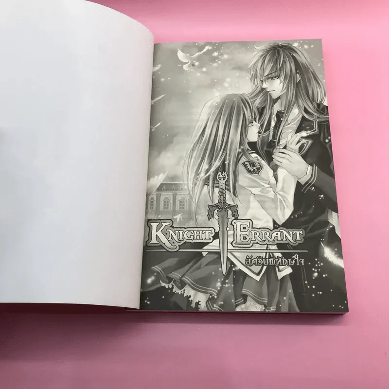 KNIGHT ERRANT อัศวินพิทักษ์ใจ เล่ม 1-2 รูปที่ 17