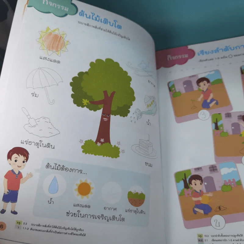 ชุด บูรณาการปฐมวัย ธรรมชาติรอบตัว อนุบาล 2 รูปที่ 8