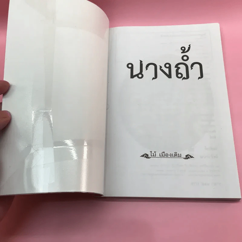 วรรณกรรม ไม้เมืองเดิม 7 เล่ม ได้แก่ บางระจัน, หมื่นซ่อง, บึงขุนสร้าง, นางถ้ำ, เสือทุ่ง, สาวชะโงก, สินในน้ำ รูปที่ 34