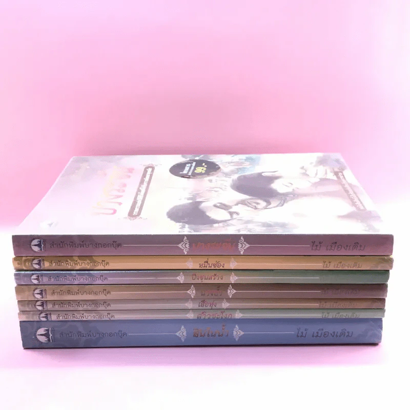 วรรณกรรม ไม้เมืองเดิม 7 เล่ม ได้แก่ บางระจัน, หมื่นซ่อง, บึงขุนสร้าง, นางถ้ำ, เสือทุ่ง, สาวชะโงก, สินในน้ำ รูปที่ 2
