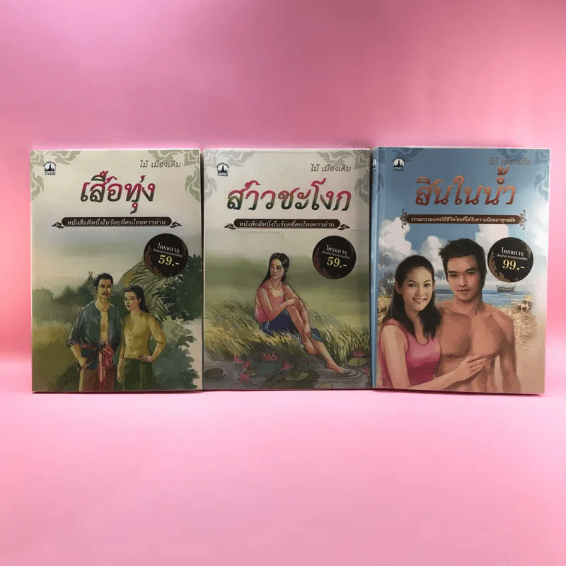 วรรณกรรม ไม้เมืองเดิม 7 เล่ม ได้แก่ บางระจัน, หมื่นซ่อง, บึงขุนสร้าง, นางถ้ำ, เสือทุ่ง, สาวชะโงก, สินในน้ำ รูปที่ 10