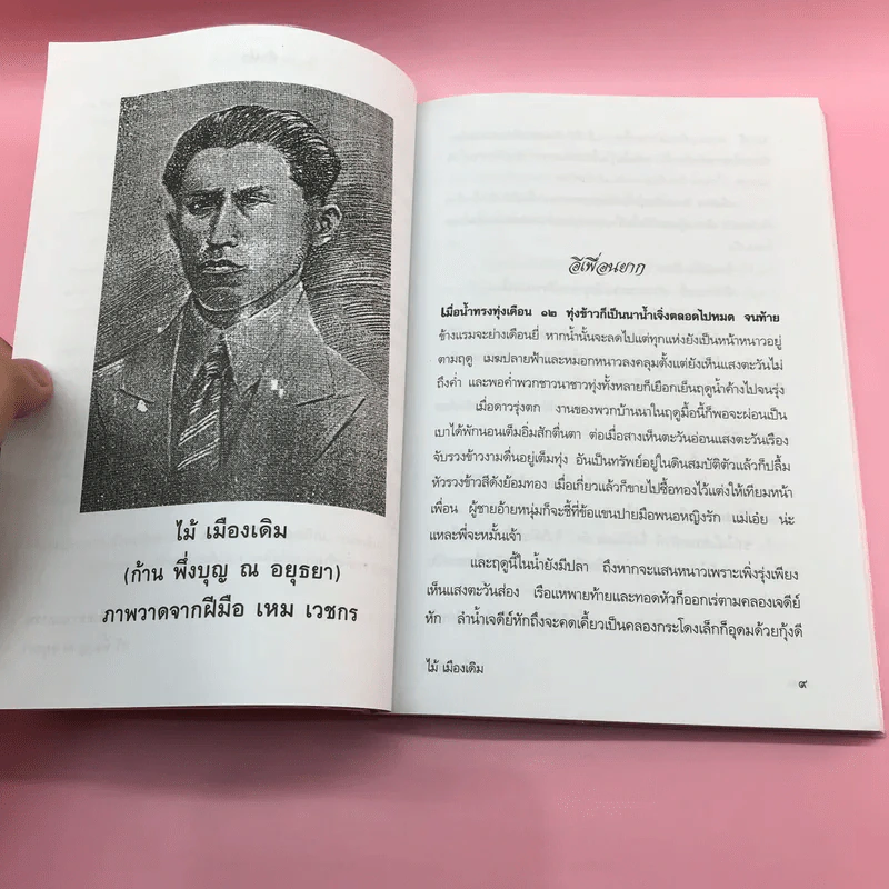 วรรณกรรม ไม้เมืองเดิม 7 เล่ม ได้แก่ บางระจัน, หมื่นซ่อง, บึงขุนสร้าง, นางถ้ำ, เสือทุ่ง, สาวชะโงก, สินในน้ำ รูปที่ 45