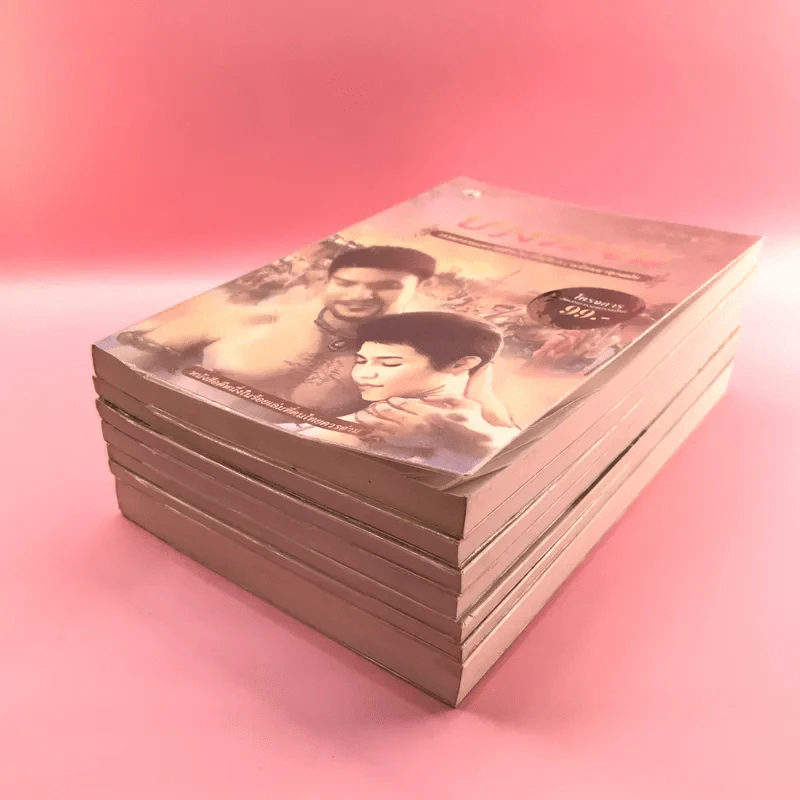 วรรณกรรม ไม้เมืองเดิม 7 เล่ม ได้แก่ บางระจัน, หมื่นซ่อง, บึงขุนสร้าง, นางถ้ำ, เสือทุ่ง, สาวชะโงก, สินในน้ำ รูปที่ 4