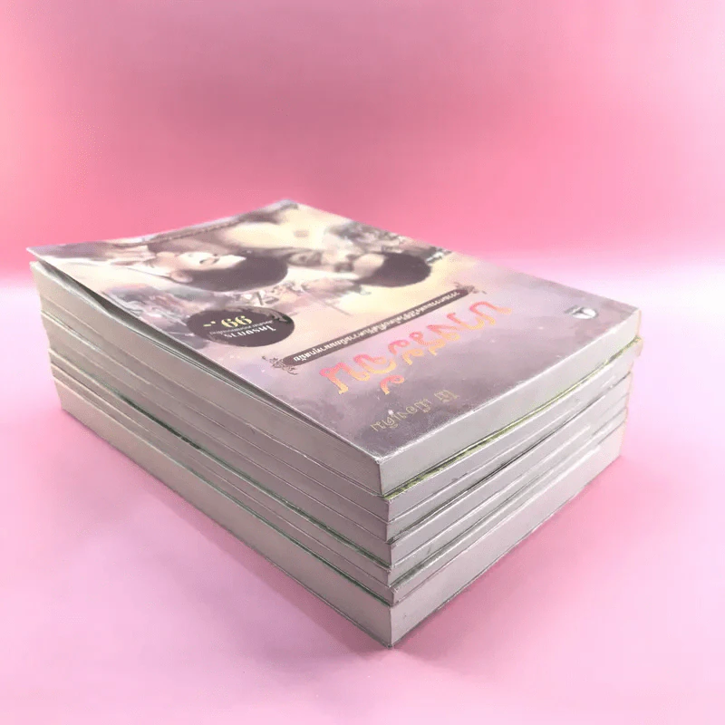 วรรณกรรม ไม้เมืองเดิม 7 เล่ม ได้แก่ บางระจัน, หมื่นซ่อง, บึงขุนสร้าง, นางถ้ำ, เสือทุ่ง, สาวชะโงก, สินในน้ำ รูปที่ 5